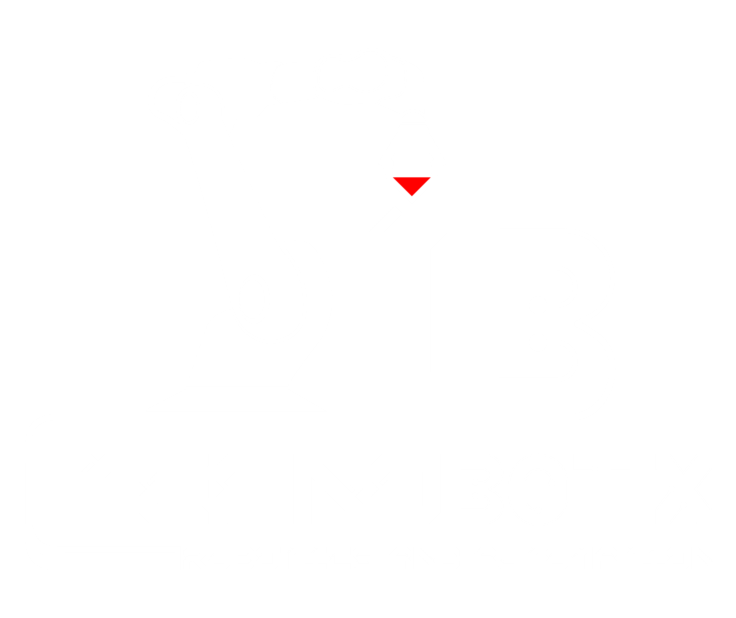 Tecnobotix - Automazione, Robotica e Sviluppo Software